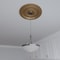 Ekena Millwork Cole PVC Ceiling Medallion (Fits Canopies up to 6"), Bright Coat Gold, 22"OD x 3 1/2"ID x 1"P CMP22COBGL - alternate 9